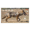 Allen EZ-Aim Splash Non-Adhesive Coyote Target - 3-Pack