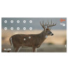 Allen EZ-Aim Splash Non-Adhesive Whitetail Target - 3-Pack