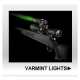 Varmint Lights