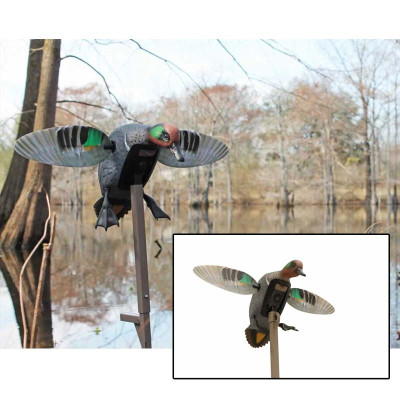 Mojo Elite Series Decoys - Green Winged Teal