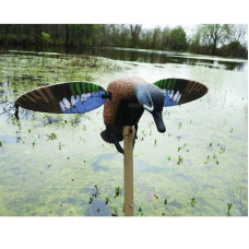 Mojo Elite Series Decoys - Blue Winged Teal