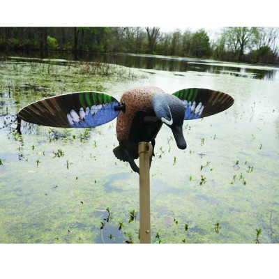 Mojo Elite Series Decoys - Blue Winged Teal