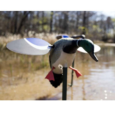 Mojo Baby Mojo Mallard Spinning Wing Decoy - Drake