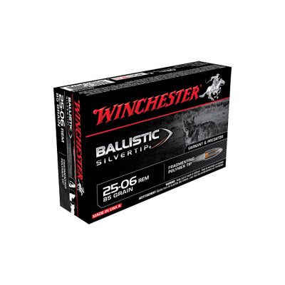 Winchester Ballistic Silvertip .223 REM 55gr Fragmenting Polymer Tip - 20 Rounds